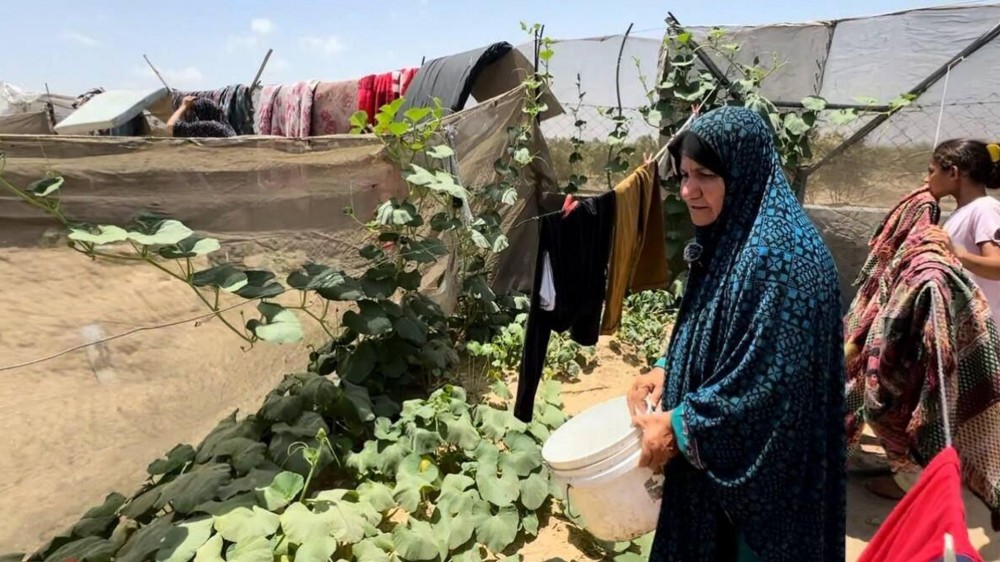 الزراعة بخان يونس: ندوات زراعية لدعم الأمن الغذائي وتمكين المرأة الريفية