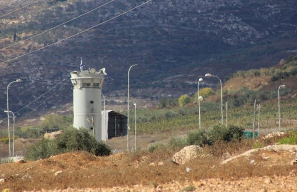 صورة أرشيفية