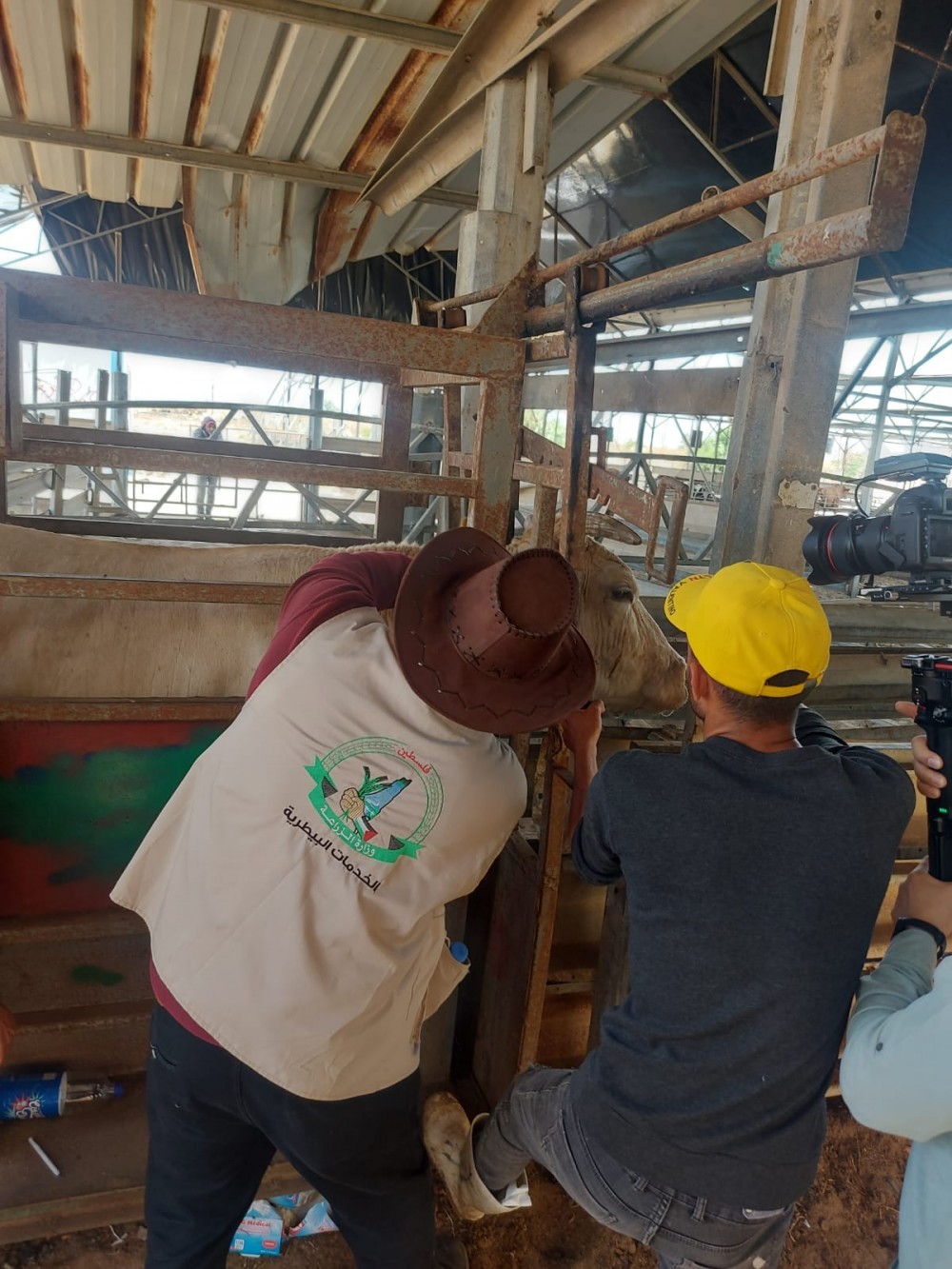 347264280_2528648257292900_7668689518407702884_n