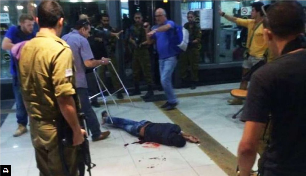 صورة الشهيد مهند العقبي