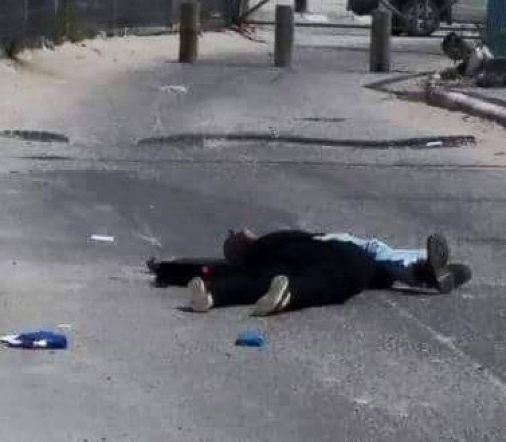 الشهيدين طه