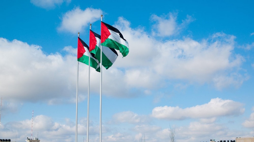 palestine_flag__1320x740_q95_crop_subsampling-2_upscale