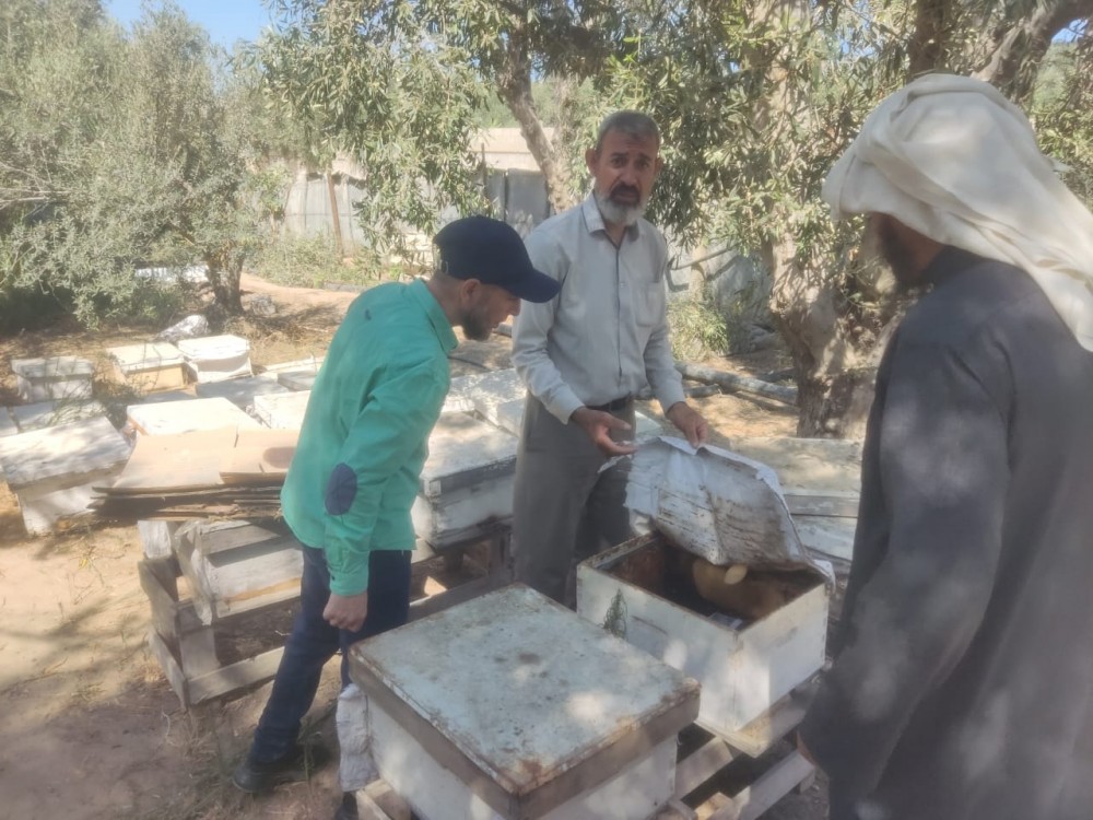  الزراعة تجري زيارات إرشادية ميدانية للنحالين بالمحافظة الوسطى