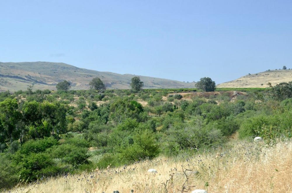الأراضي الزراعية في قطاع غزة
