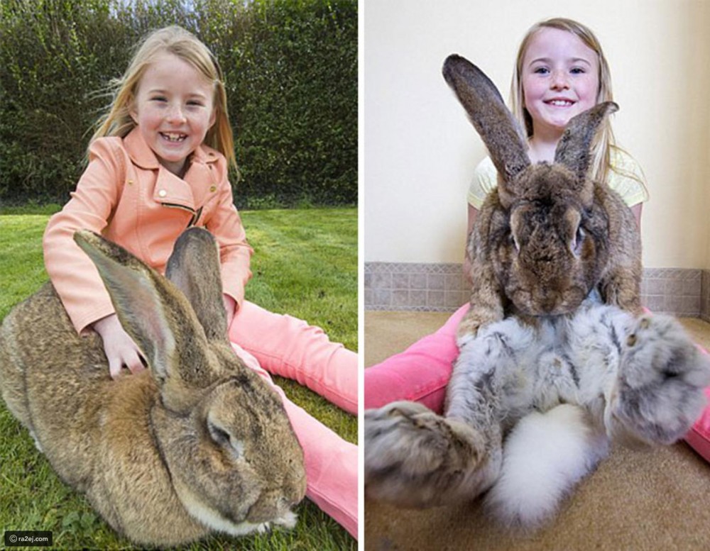 14ef494f91a23601505748d5b0d0a7e2b98aee6c-030920092451