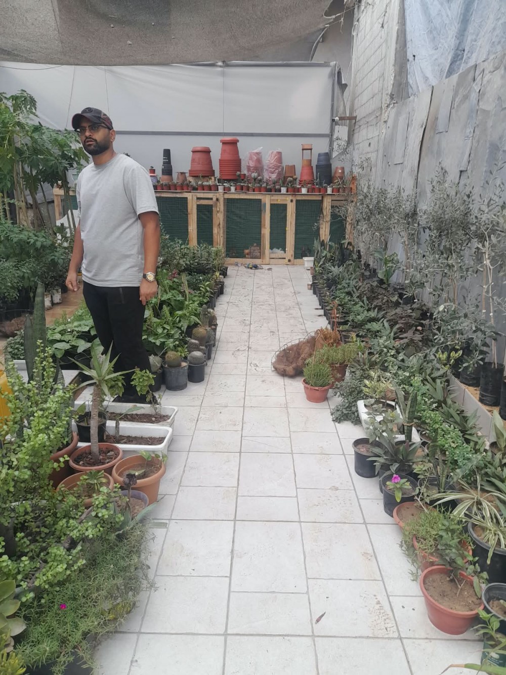 وزارة الزراعة تنفذ جولة ميدانية لمشاتل غزة لبحث البدائل المحلية وتعزيز استمرارية الإنتاج