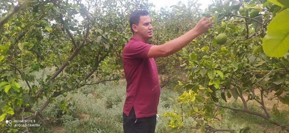 241952283_4574179195948294_6613808419815444639_n