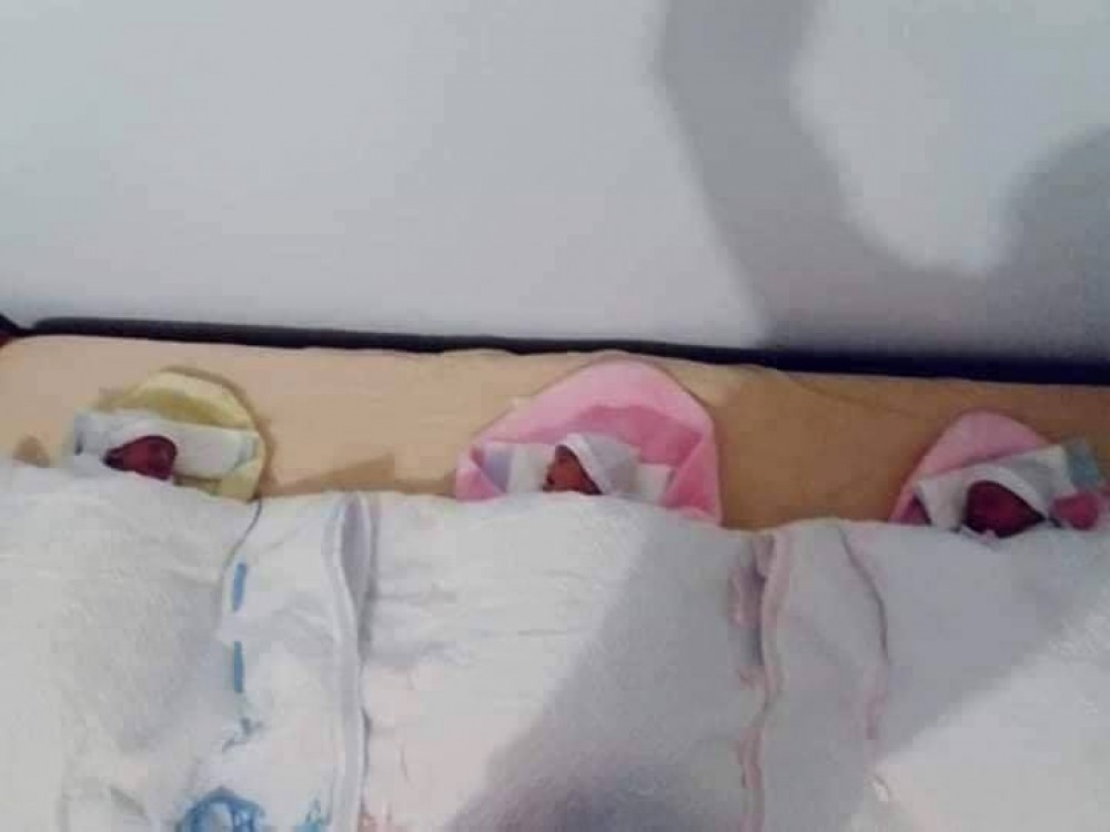 التوائم الثلاثة 