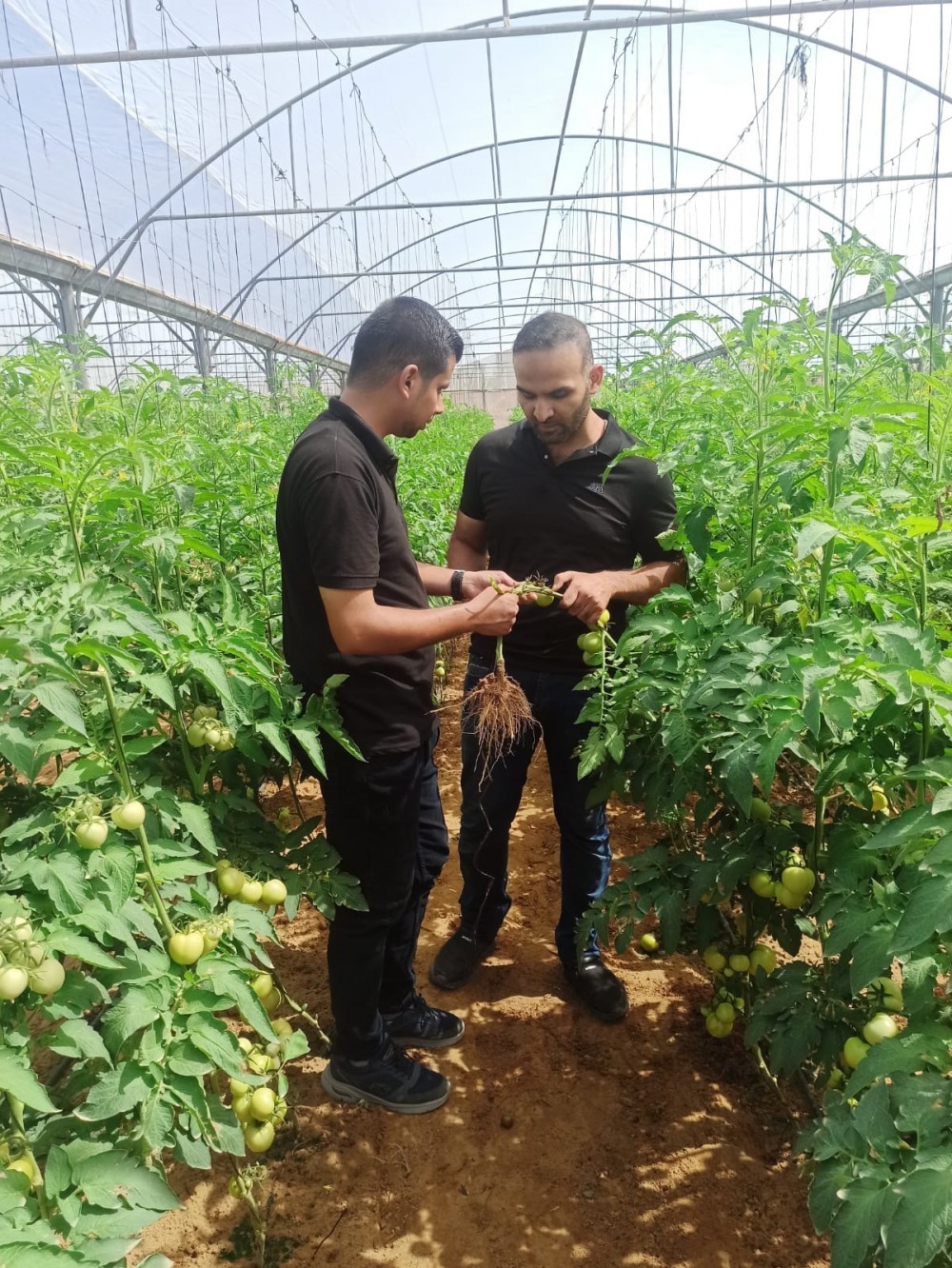 382737855_6675231802556183_8547985395023052177_n