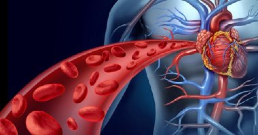 6 نصائح تساعدك على تنشيط الدورة الدموية 