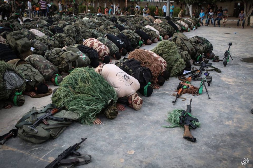 11826040_457485384376739_3403717367366632884_n