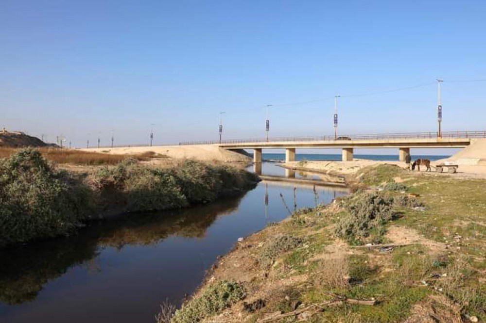 أرشيف