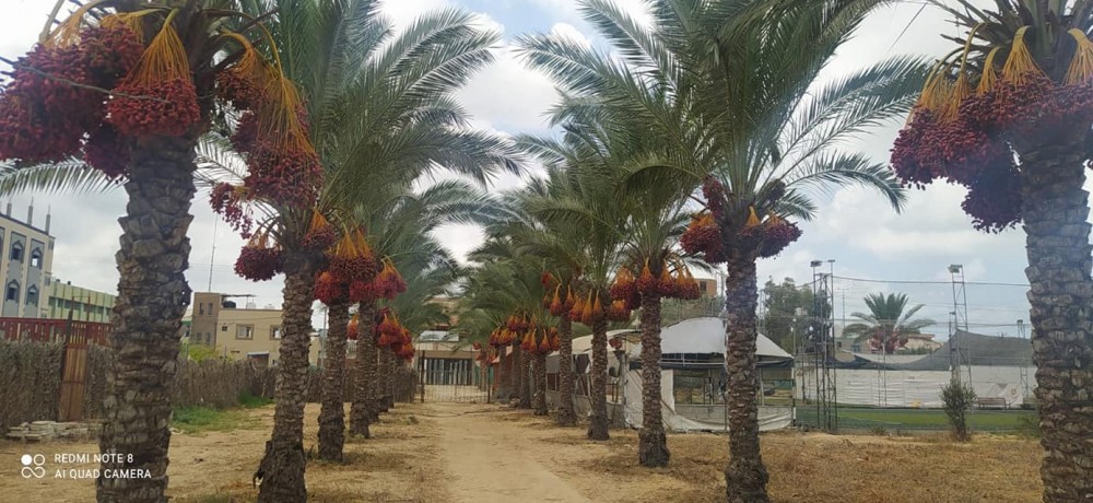 241978095_4574179755948238_654783848228951852_n