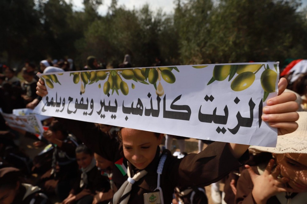 385774243_3320335538257946_5127922113752398379_n