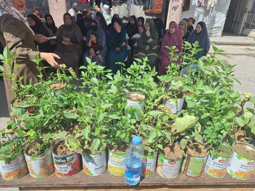 التنمية الريفية بالزراعة تدرب 40 سيدة على الزراعة الحضرية بغزة