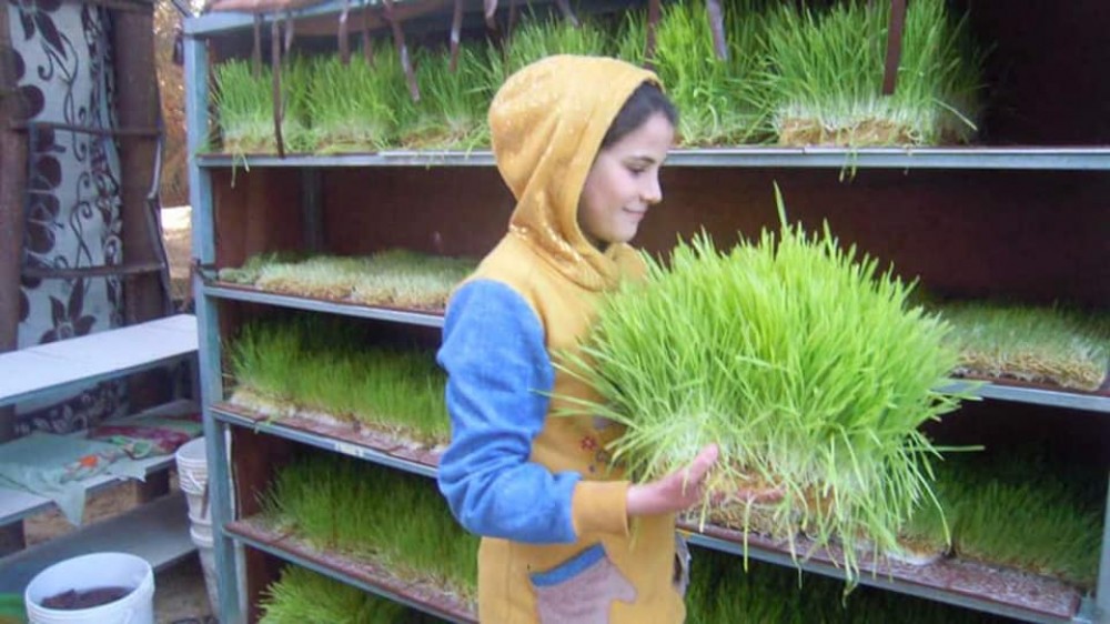 مزراعات صغيرات ينجحن في إنتاج 