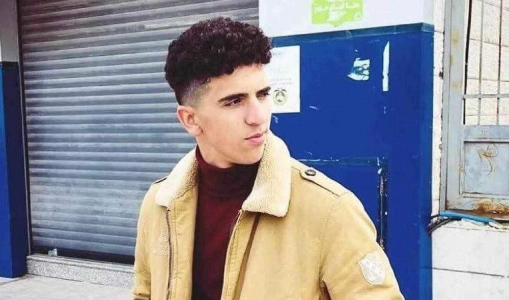 image_processing20231010-650151-b2b36q