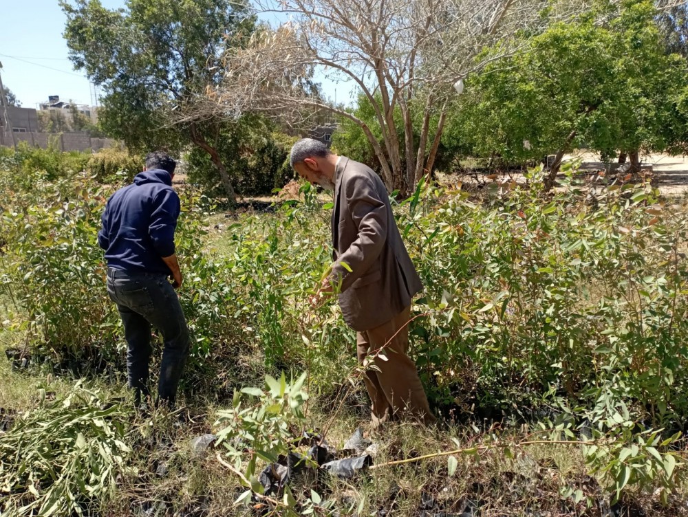 347250353_231687079572050_589818581842418816_n