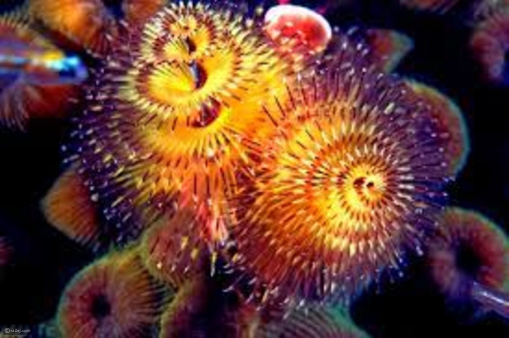 d37aae608c76346cb34be9da3fdbf6a52547ccbd-070422114639