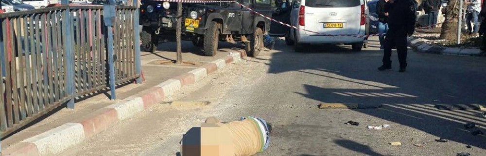 منفذ عملية الطعن