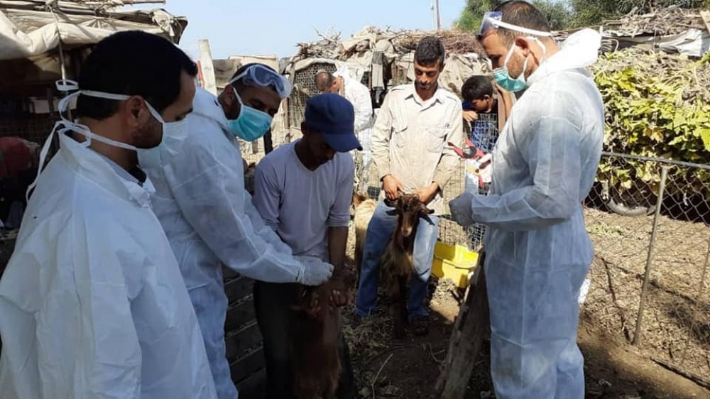 موظفي وزارة الزراعة في حملة تطعيم