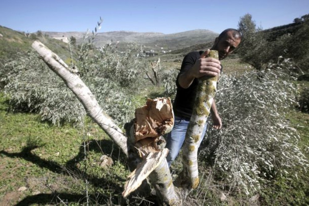 صورة أرشيفية 