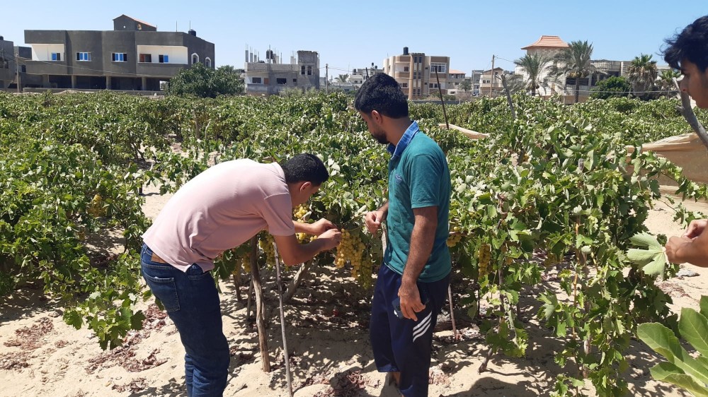 295842453_5546522872047250_1431303813482562397_n