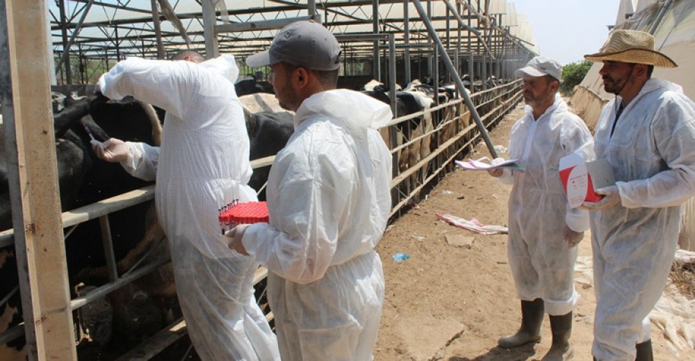 صورة أرشيفية 