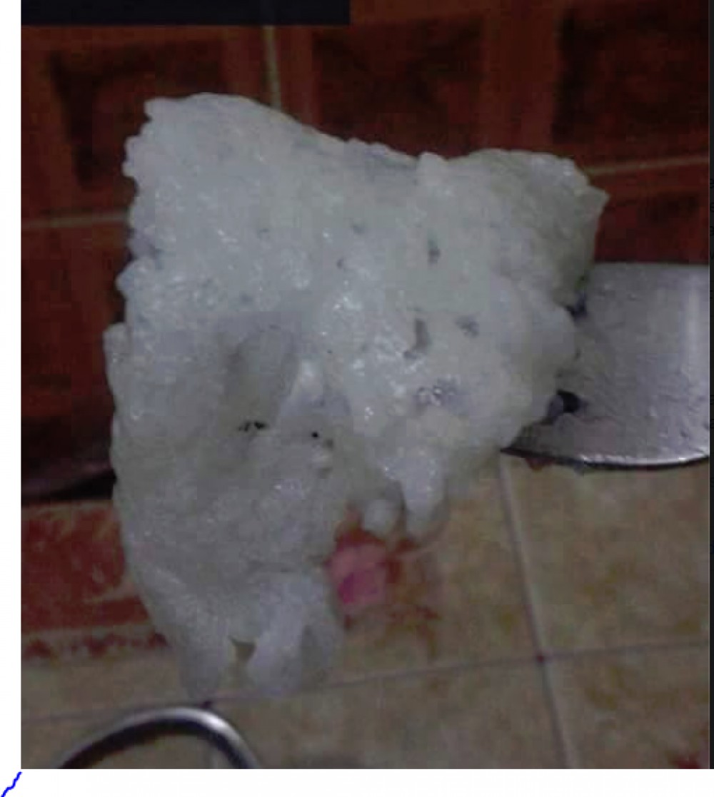 رز بلاستيكي