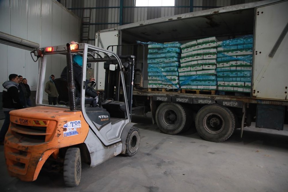 84613926_3234440926570333_978852793701892096_o