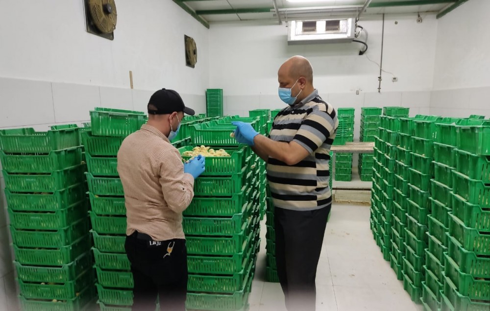 زراعة الوسطى تنفذ زيارات ميدانية مشتركة على فقاسات الدواجن