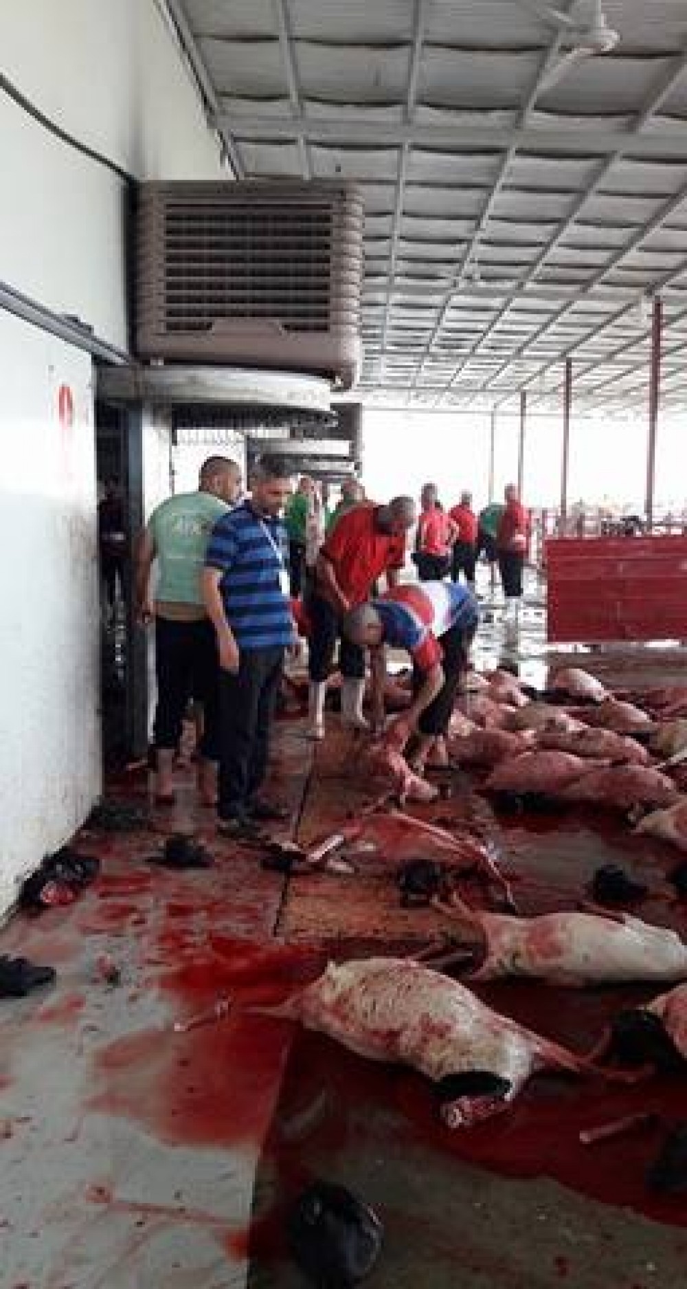 21270799_1475824645846941_2111021079620939579_n