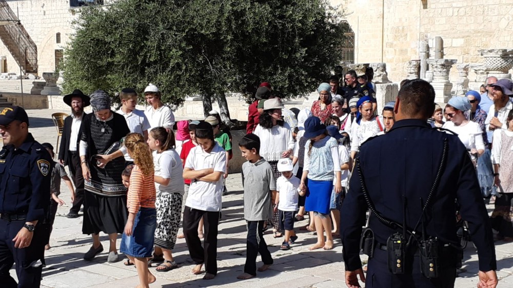 whatsapp-image-2018-07-18-at-9-06-46-am