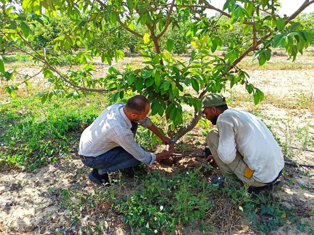 348857080_6445165522229480_738160600758946656_n