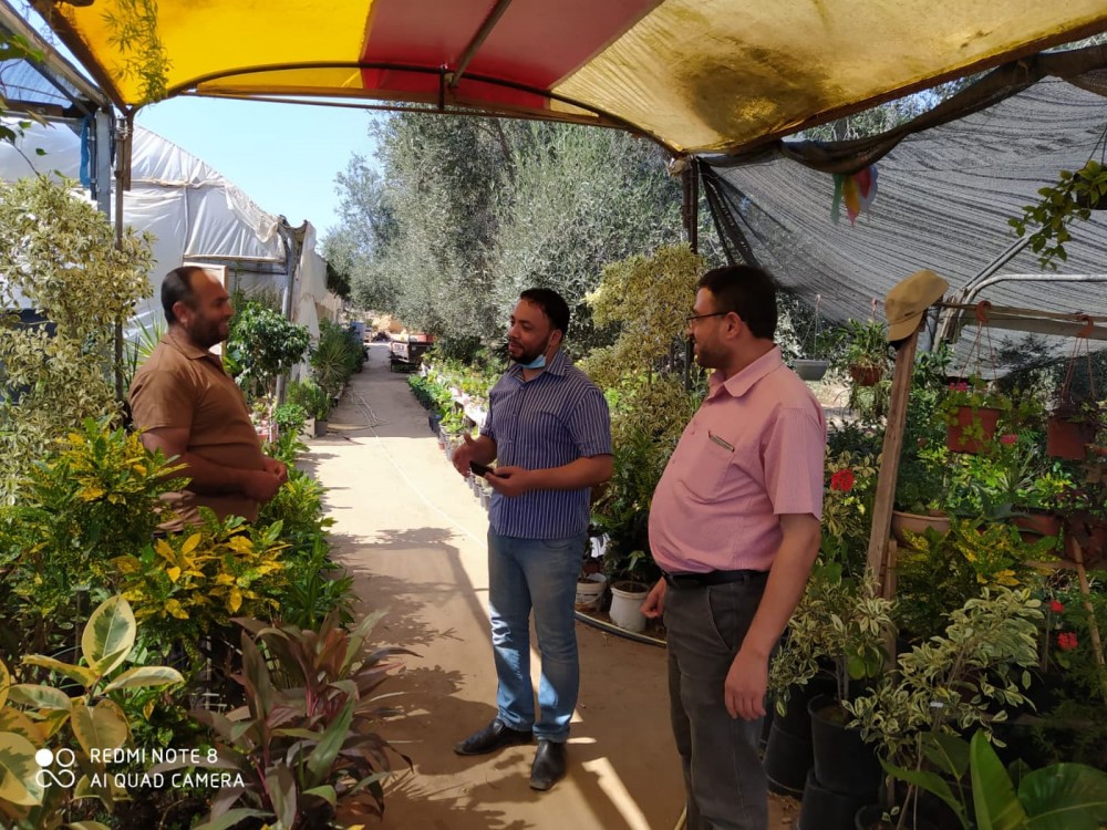 زراعة خانيونس تتفقد مشاتل الفاكهة والزينة لإرشاد المزارعين 