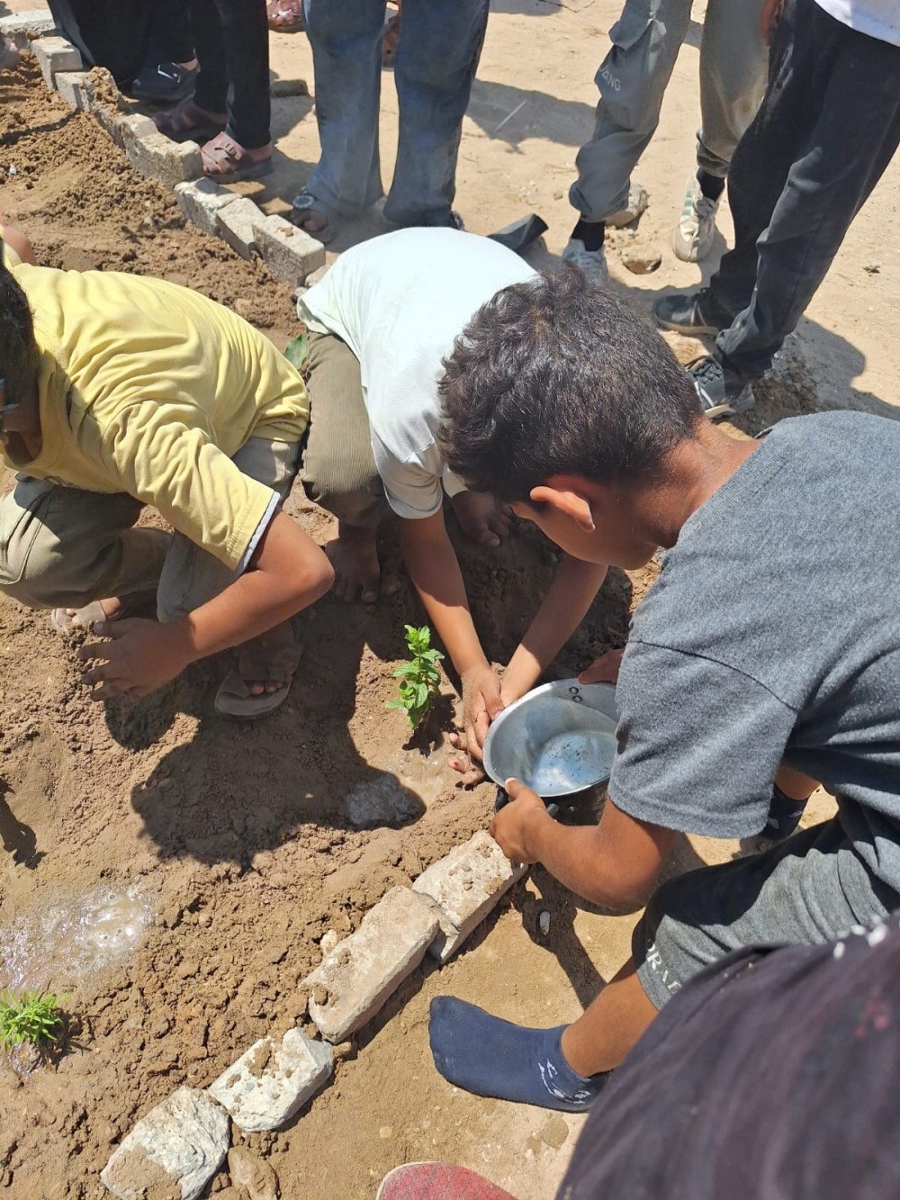 التنمية الريفية بالزراعة تنظم نشاطاً زراعياً حول الزراعة الحضرية