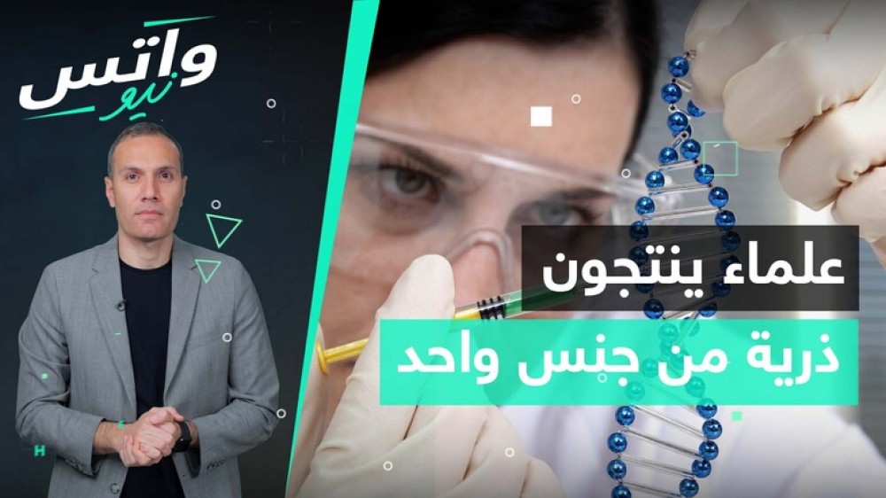 علماء الوراثة ينجحون في تحديد ذرية من جنس واحد فقط