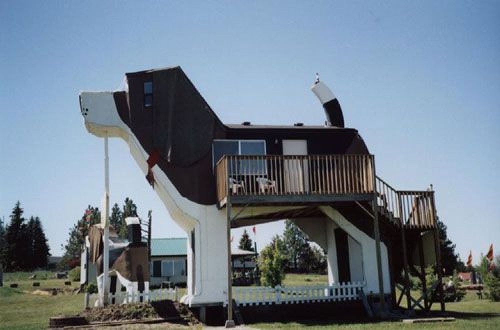 Dog-Bark-Inn-Cottonwood-Idaho