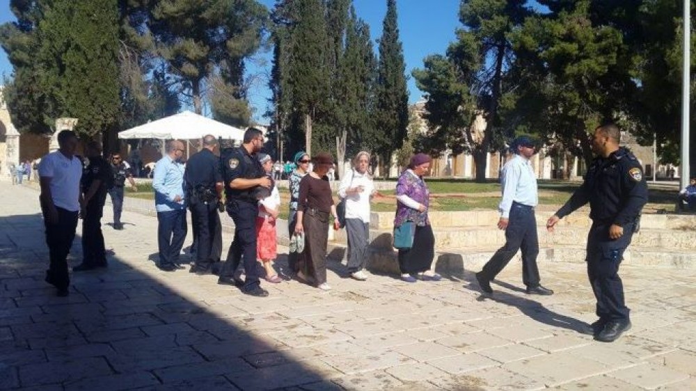 مستوطنون يقحتمون المسجد الأقصى قبل قليل