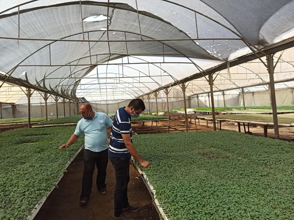  طوارئ زراعة رفح تتفقد مشاتل الخضار ومحلات بيع المبيدات