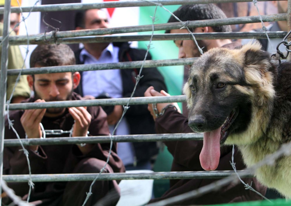 صورة أرشيفية للأسرى