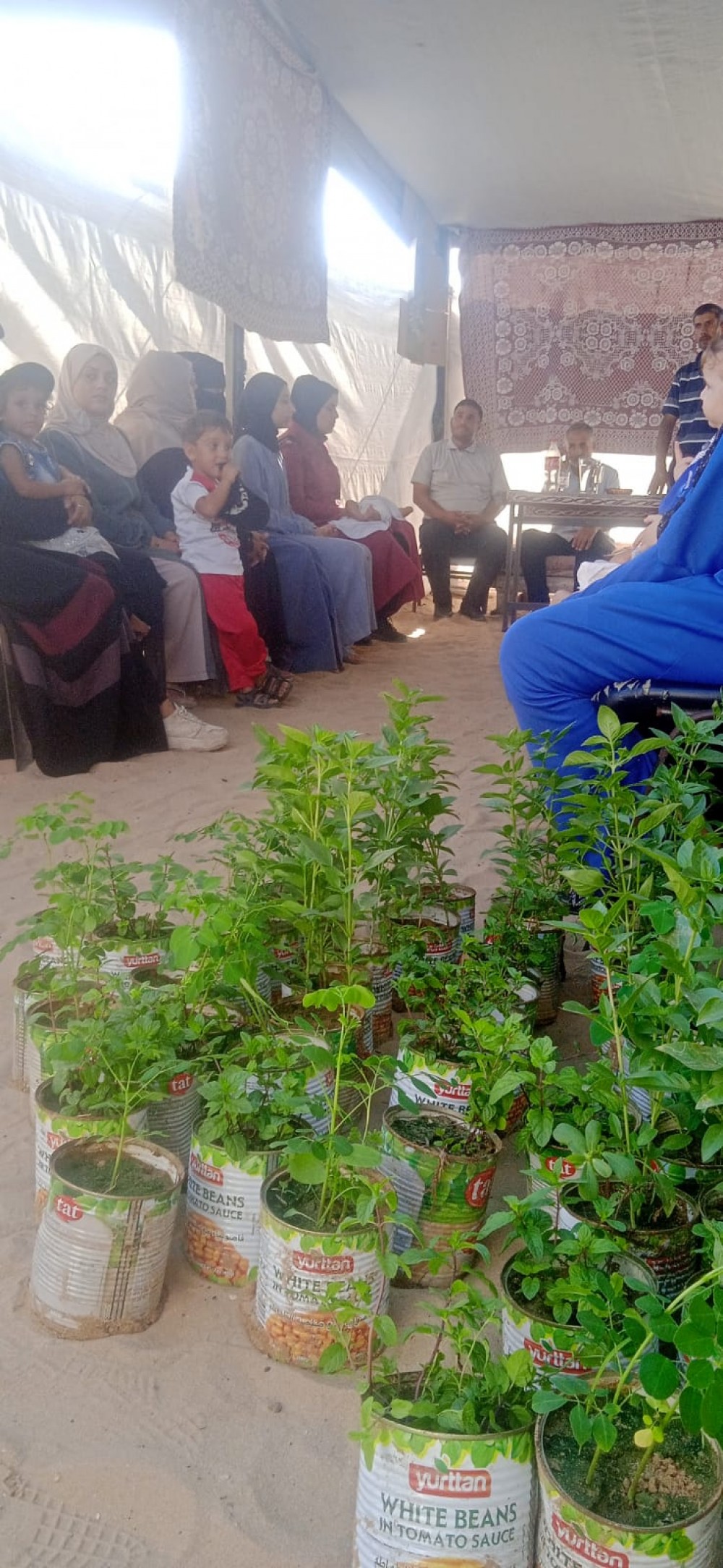 الزراعة تعقد ورشة إرشادية  للنازحات بمخيم الحياة في محافظة خان يونس