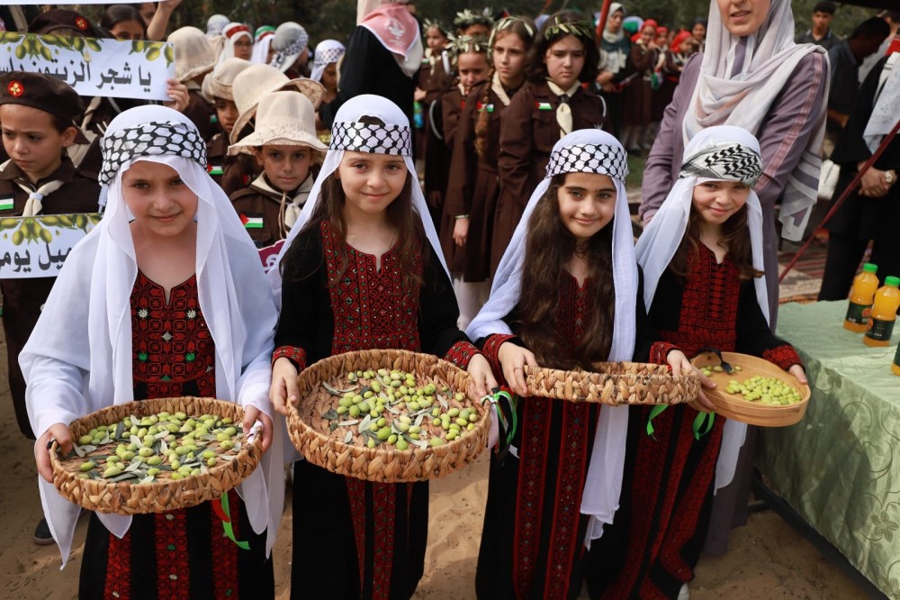 وزارة التربية والتعليم تُنفذ فعاليات مدرسية في موسم قطف الزيتون