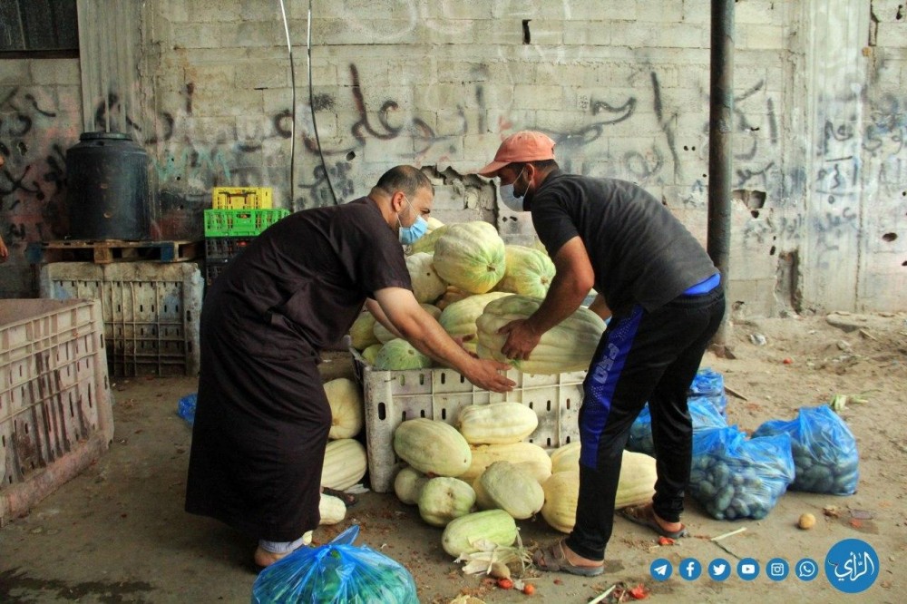 photo_٢٠٢٠-٠٨-٢٧_١٣-٣١-١٢