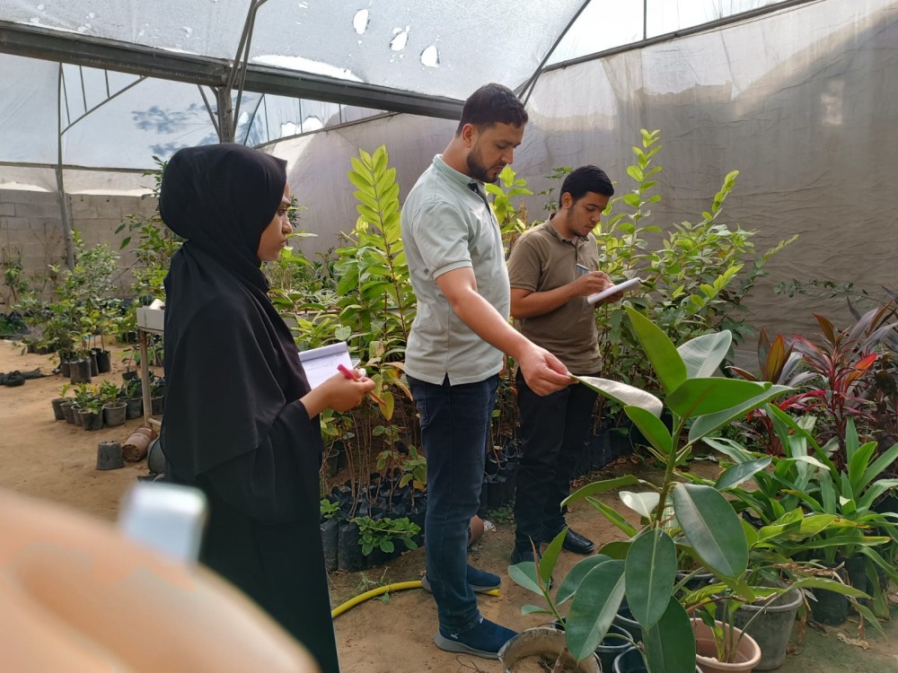 ‏زراعة غزة تنفذ جولات ميدانية تدريبية لطلبة كلية فلسطين التقنية