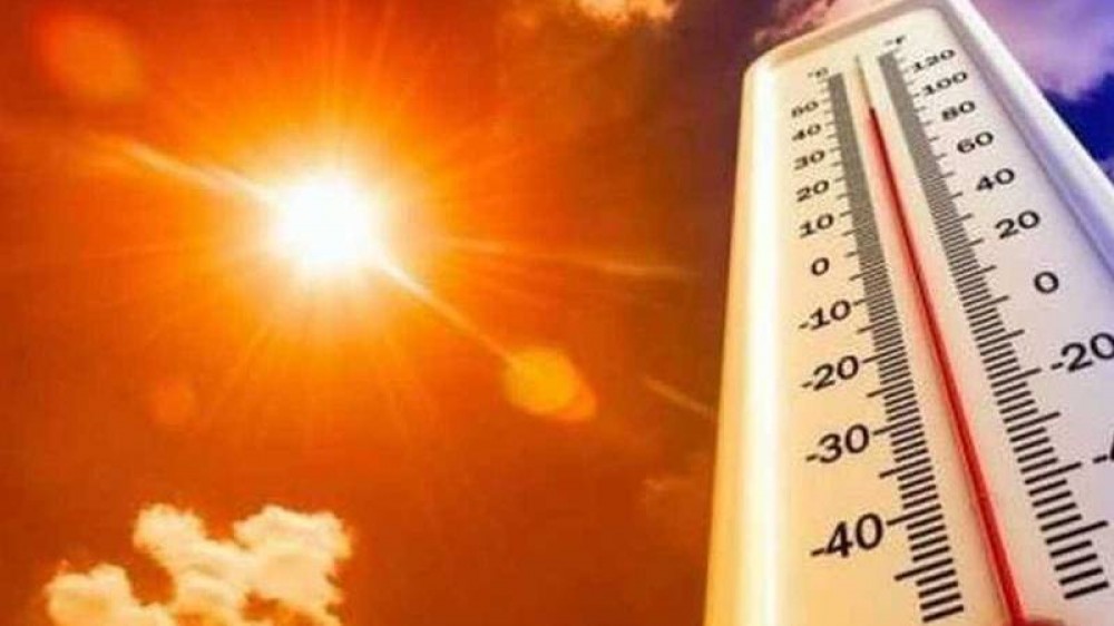 صورة رمزية