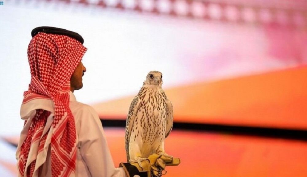 بيع صقرين بنحو 38 ألف دولار في مزاد دولي بالرياض