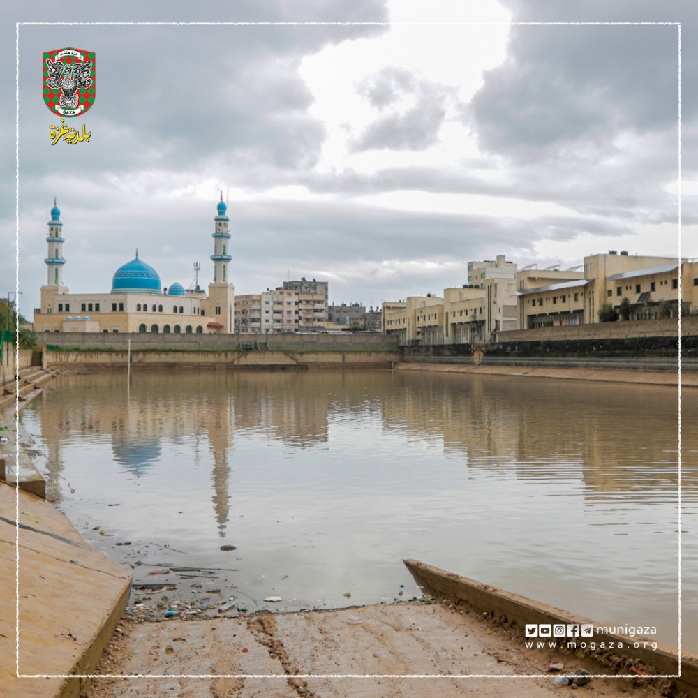 بركة عسقولة في حي الزيتون 