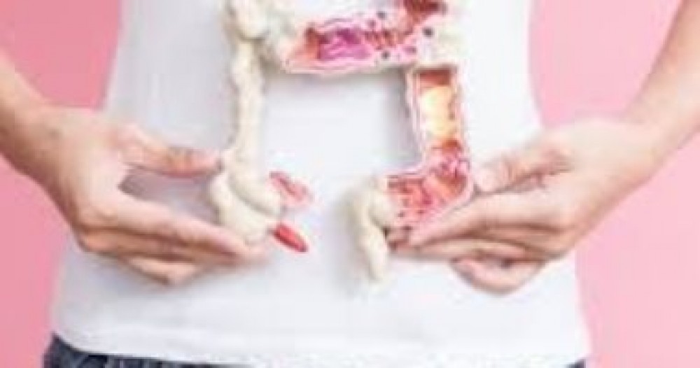 5 طرق سهلة للحفاظ على صحة أمعائك أثناء السفر