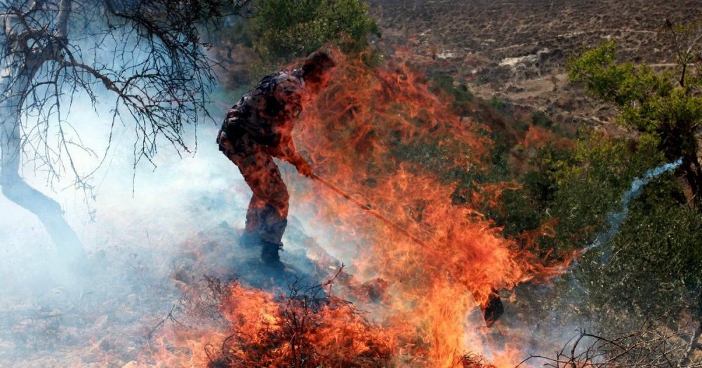 صورة أرشيفية 